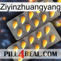 Ziyinzhuangyang cialis2